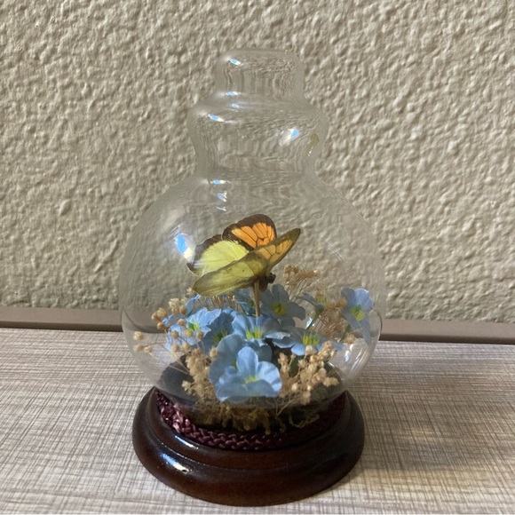 Real Butterfly Taxidermy Mini Globe Vintage - Picture 3 of 6